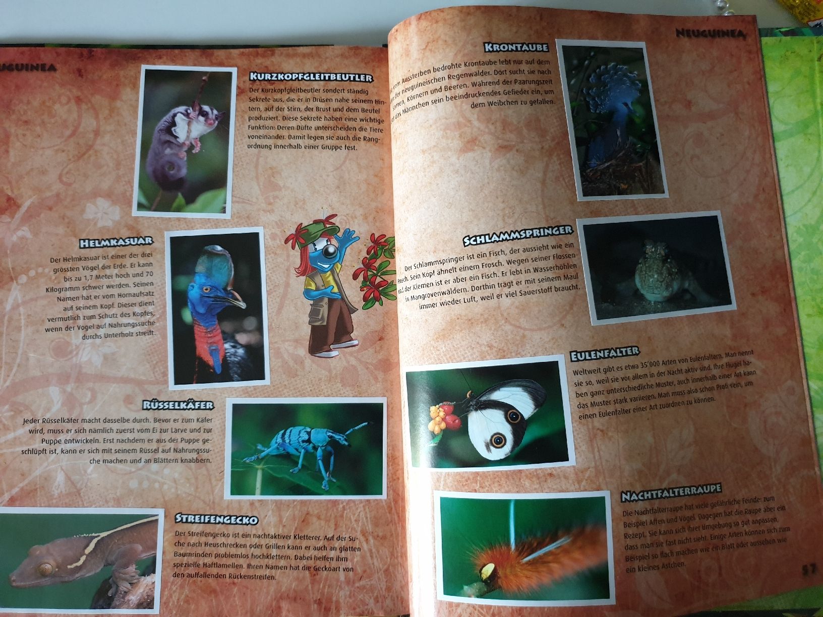 Libri: WWF Stickermania Abenteuer Regenwald – Usato da Wettingen venduto da tg_sd 1