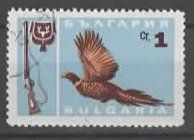 Bulgarien : fliegender Truthahn (1
