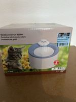 Fontaine à eau pour chat