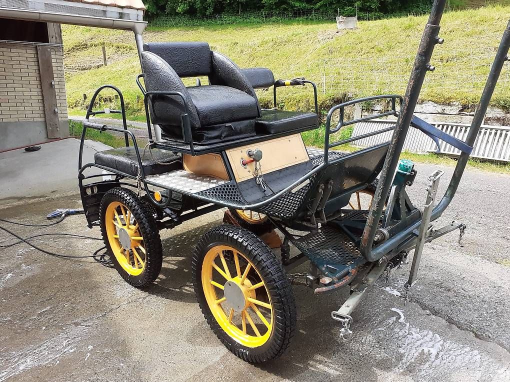 Calèches: Marathonwagen – D'occasion à Wohlen b. Bern par chrige84