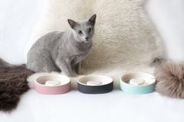 Süesses Katzennapf Set, Keramik mit Herz