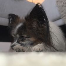 Profile image of Quincy16