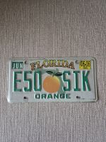 Vintage plaque Florida