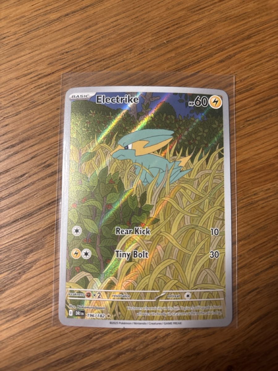 Pokémon Carte collezionabili: Electrike 196/182 – Usato da Niederglatt ZH venduto da Nico325