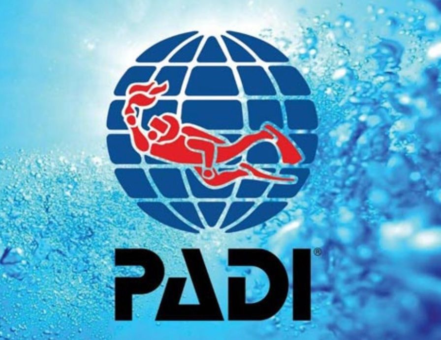 Libri: PADI Instruktor Tauchbücher – Usato da Thun venduto da akay86