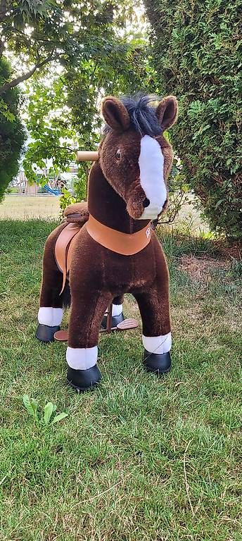 Véhicules pour enfants: Ponycycle Pferd – D'occasion à Horn par Maamei 1