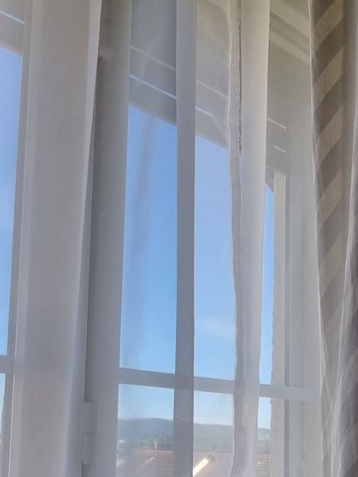 Vorhänge: Vorhang Voile weiss neu 300 cm – Neu und originalverpackt aus Geroldswil von Agapanthus22 2