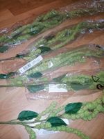 Amaranthushänger für Dekoration,Floristik,Lindgrün, 3 Stück.