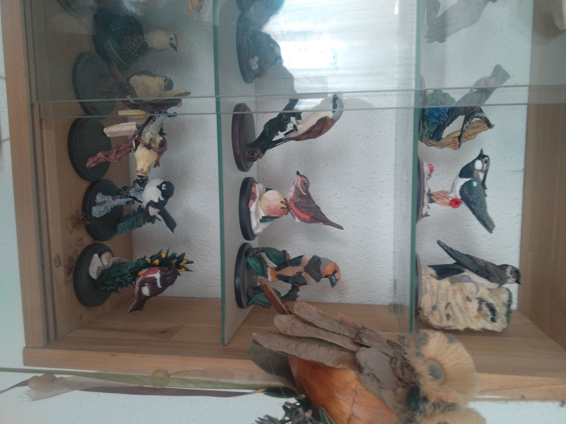 Tutte le decorazioni: A vendre collection de 80 oiseaux – Usato da Tramelan venduto da and_j8tk 1