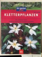 Kletterpflanzen-Ratgeber: Schöne Gärten gestalten im Frühlin