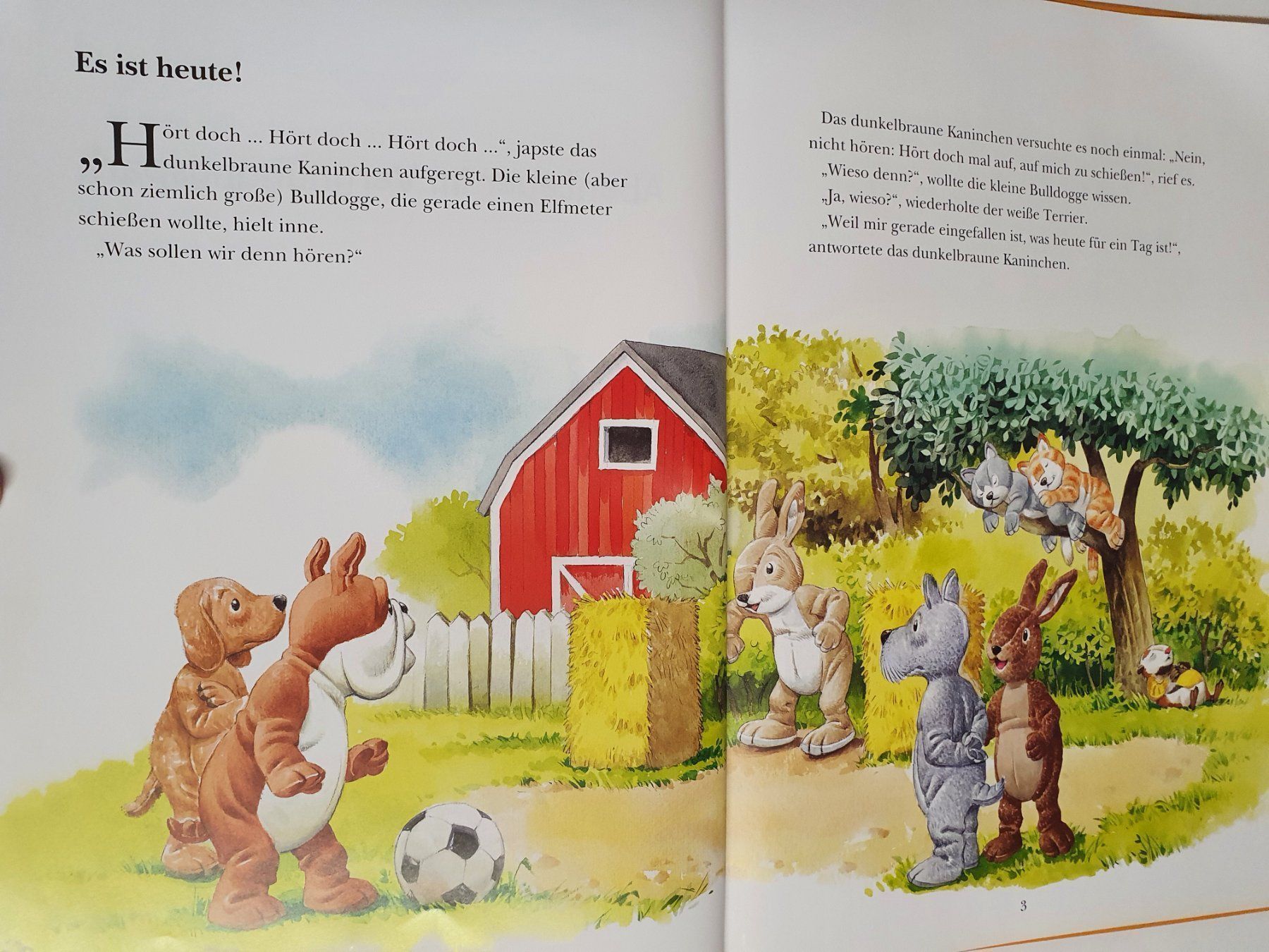 Libri: Abenteuer im Vergnügungspark Buch – Usato da Oberdorf BL venduto da BaldenEagle 1