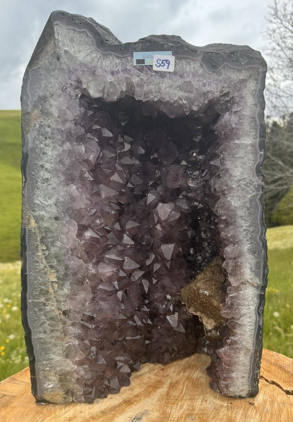 Mineralien & Heilsteine: Prächtige Amethystdruse aus Brasilien – Neu (gemäss Beschreibung) aus Rheineck von