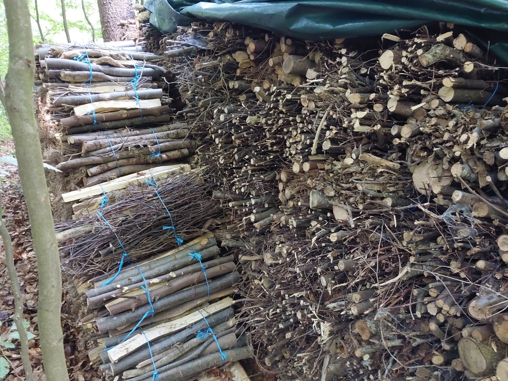 Holzartikel: Brennholz Büscheli – Gebraucht aus Bichwil von Philip96