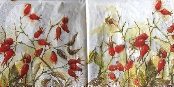 Servietten: Serviette hagebutte (d193) 2Stk. – Neu (gemäss Beschreibung) aus Schlatt TG von kreativ-atelier