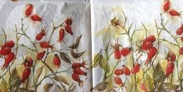 Serviette hagebutte (d193) 2Stk.