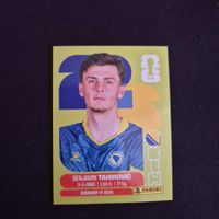 BIH 9 Panini FIFA WM 2026