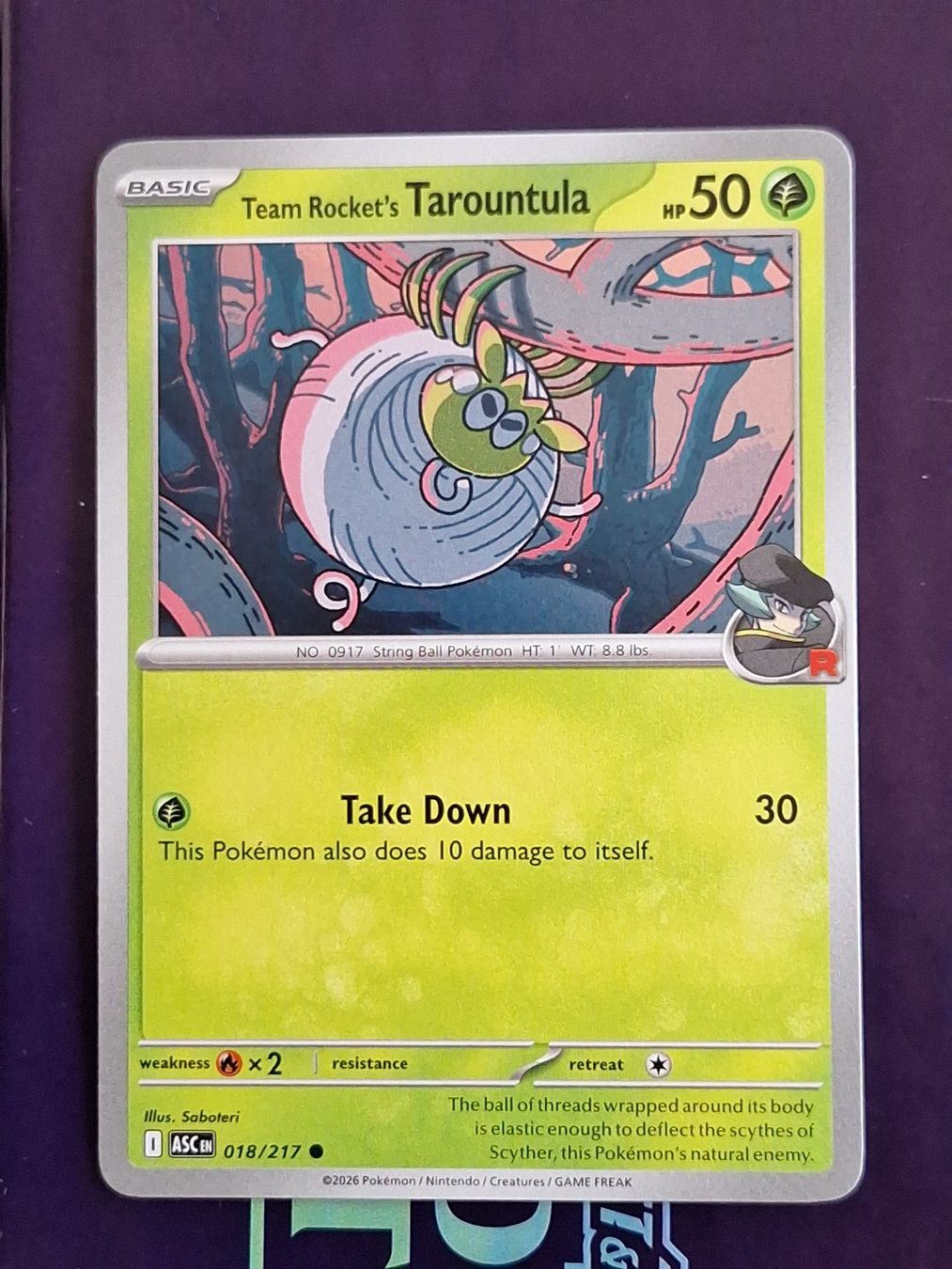 Pokémon Sammelbilder & Trading cards: Team Rocket's Tarountula - Pokemon Ascended Heroes – Gebraucht aus Altstätten SG von GGsGameshop