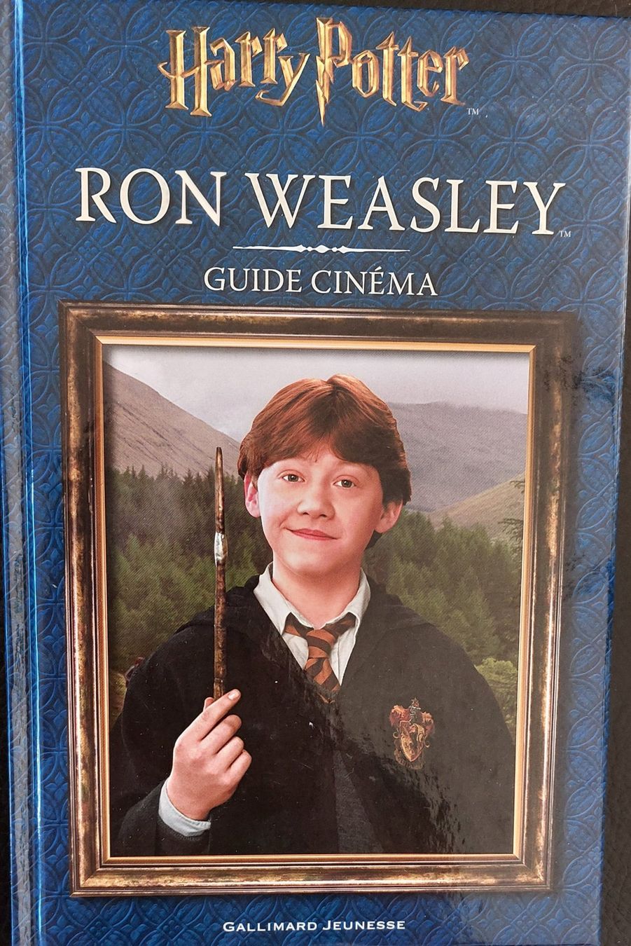 Libri: Lot de livres Harry Potter – Usato da Uvrier venduto da orl_l6ff 8