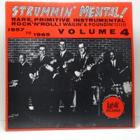 V.A. - Strummin' Mental (LP) Rare Primitive Inst. Rock Vol 4