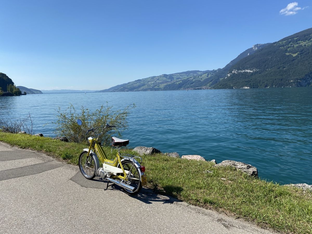 Puch Ciclomotori: Puch Maxi N – Usato da Gwatt (Thun) venduto da omega87 1