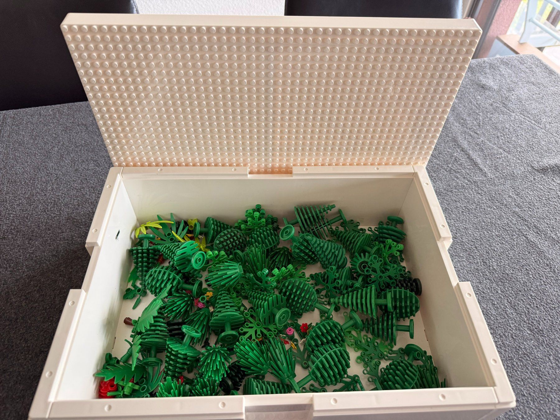 Lego Giocattoli: Lego Planzen – Usato da Oftringen venduto da rohrstutz 3