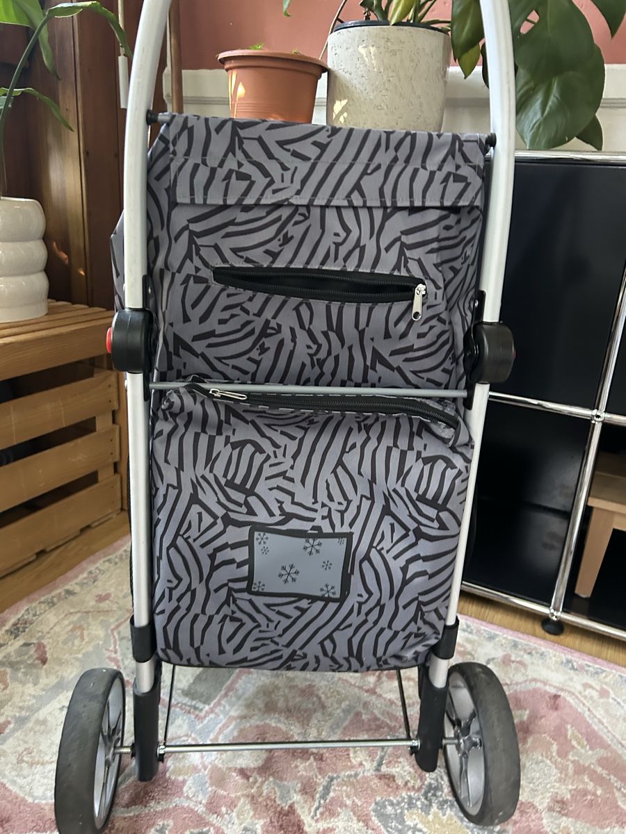 Sonstiges für Haushalt & Wohnen: Einkaufswagen/Trolley – Gebraucht aus Basel von Nicetohave13 1