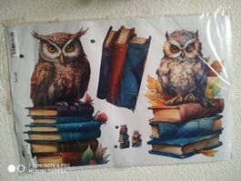 🦉Wandaufkleber Eulen Set NEU Tattoo 48 x 48 cm 3-teilig