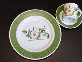 HUTSCHENREUTHER Teller Tasse P.J. Redouté X