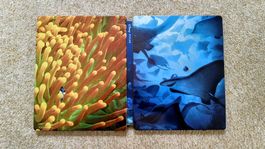 Disney Finding Dory Steelbook Edition Blu-ray 3D 