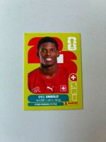 Carte panini 2026 - SUI 17