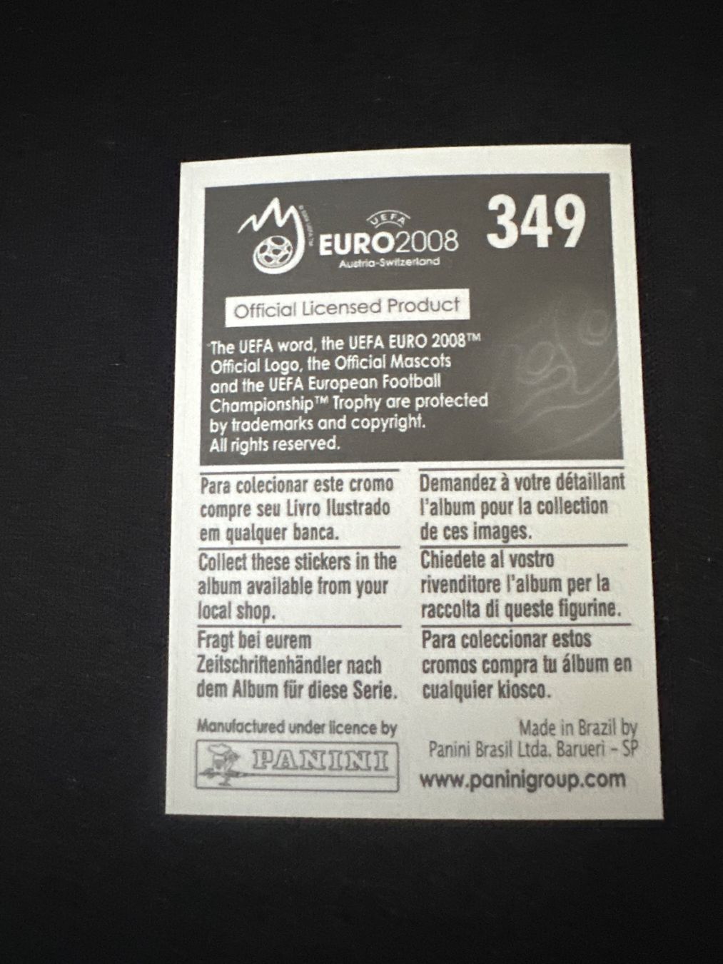Panini Carte collezionabili: Panini UEFA EM 2008 Sticker - Nr. 349 – Usato da Sulz AG venduto da DealWerk 1