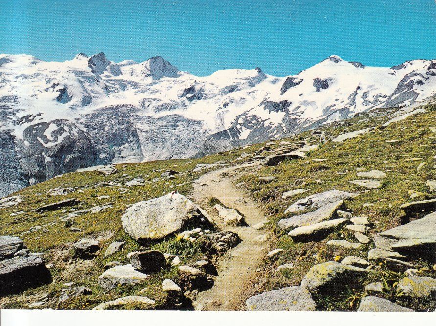 Cartoline postali: Coazhütte (Sellagruppe) 1990 – Usato da Bürglen TG venduto da StampGraf