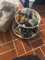 Sammlung Mineralien und Kristalle in zweistöckigem Behälter