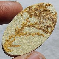 Cabochon L-8820 – Psilomelan Dendrit – 38x21x5mm
