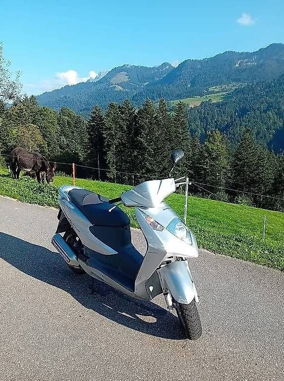 Scooters: Honda Dylan 125 – Gebraucht aus Schwarzenberg von 19anbe74 4