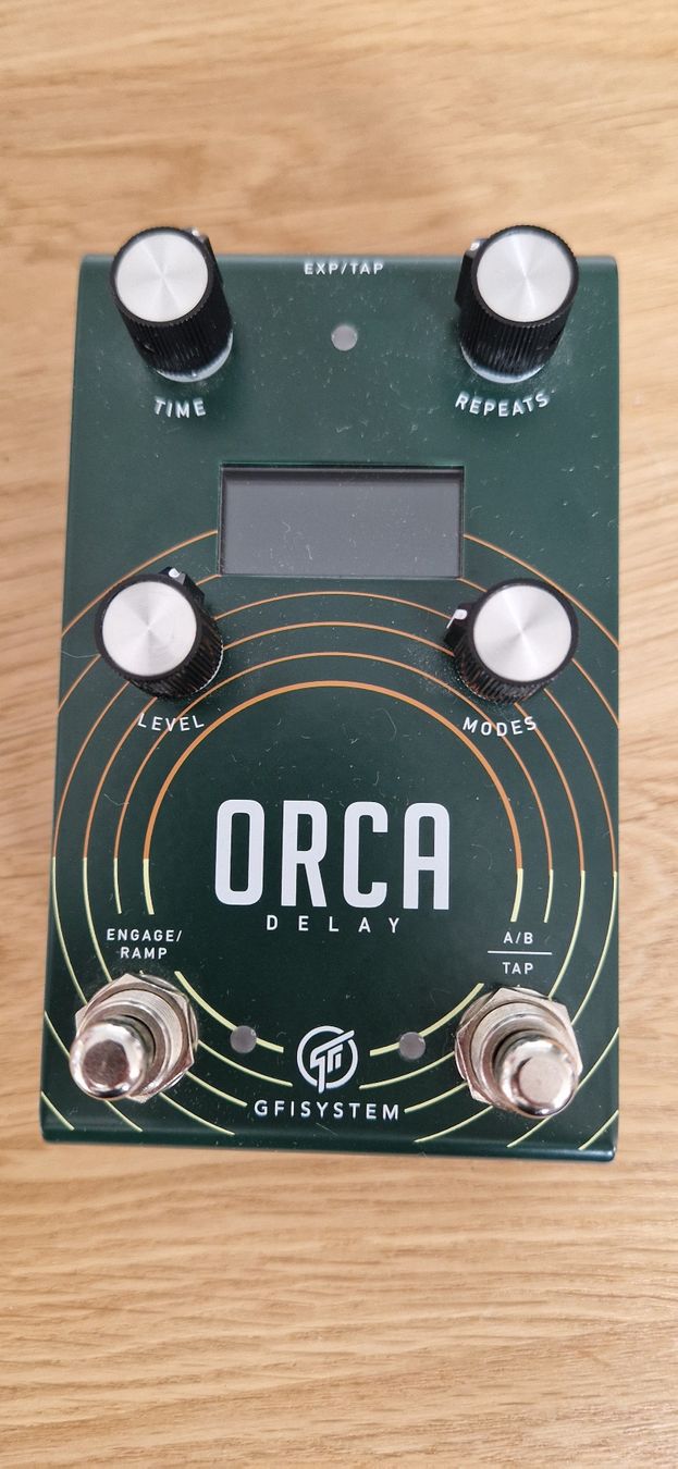 Musikinstrumente: GFI System Orca Delay – Gebraucht aus Sion von Chris_p68 1