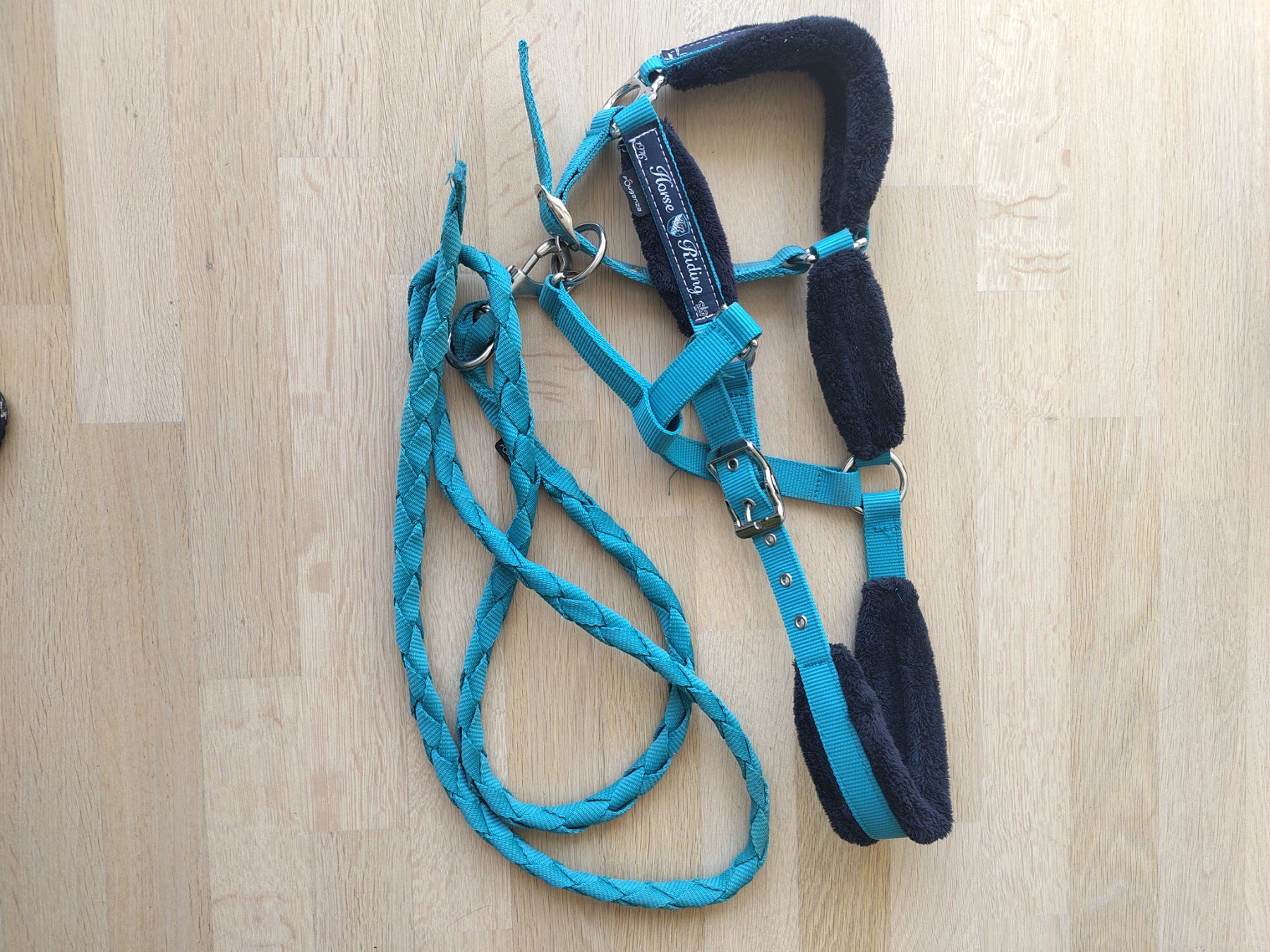 Briglie & Cavezze: Licol avec longe fouganza bleu – Usato da Denges venduto da lay_xpy7