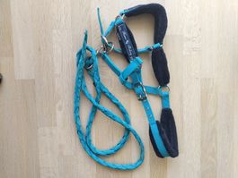 Licol avec longe fouganza bleu