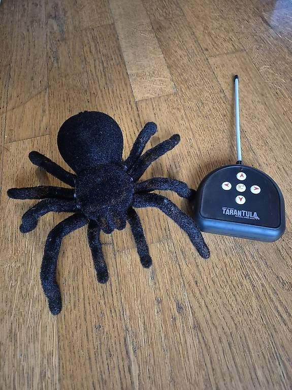 Giocattoli: Ferngesteuerte Spielzeug-Spinne – Usato da Schlieren venduto da Violent01 1
