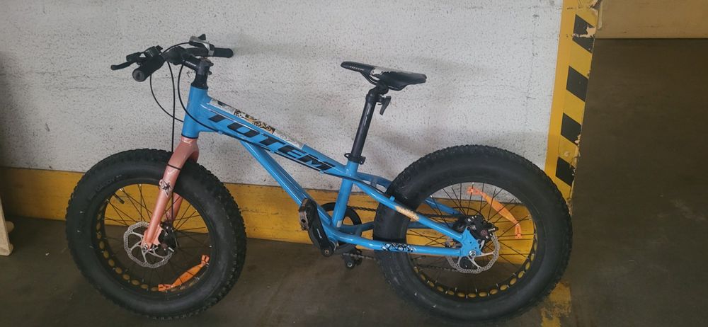 fat-bike-totem-kinder-20-gebraucht-in-rheineck-f-r-chf-60-nur
