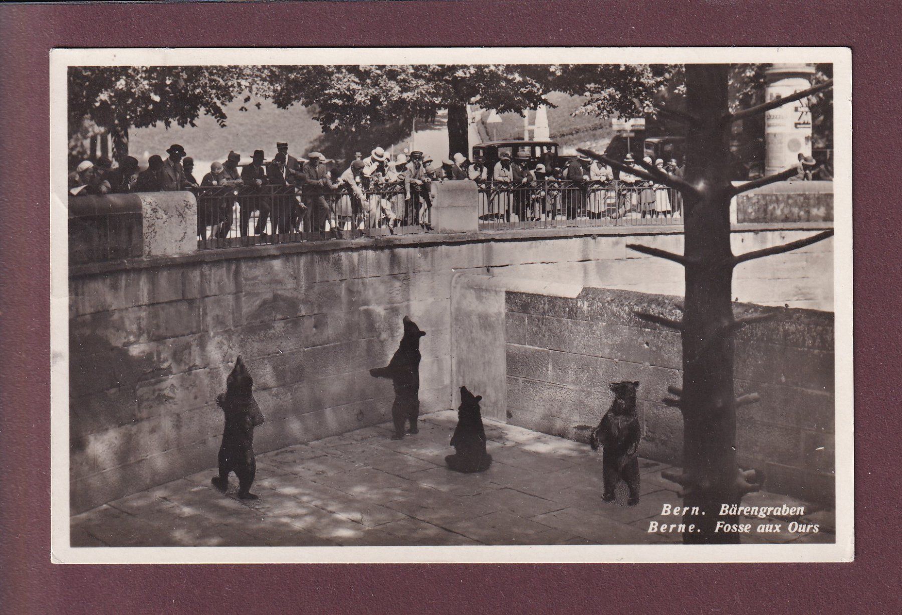 Cartoline postali: BERN - Bärengraben - 1930 – Usato da Pully venduto da nicecards