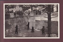 BERN - Bärengraben - 1930