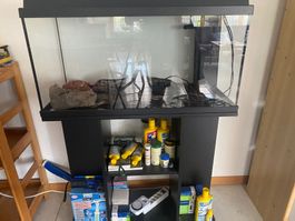 Aquarium 80lt mit Filter und allen nötigen Zutaten.