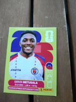 Panini Sammelkarte HAI 8 Garven Metusala