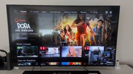 TV Sony Bravia 65" 4K Smart TV  mit kl. Bildfehler