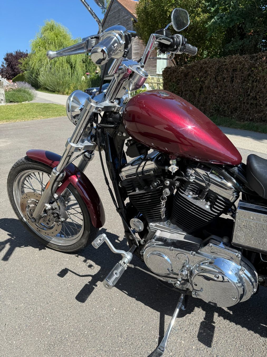 Harley-Davidson Altro: Harley Davidson XL53C – Usato da Eclagnens venduto da Vialli 4