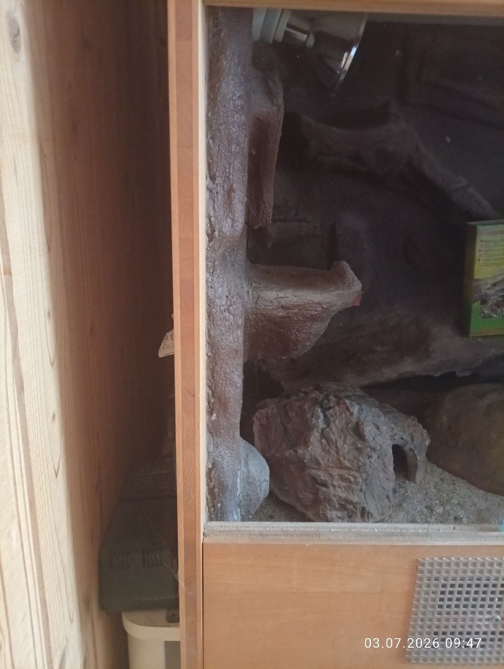 Terrario: Terrarium mit Untermöbel  – Usato da Aarwangen venduto da GiLANi 2
