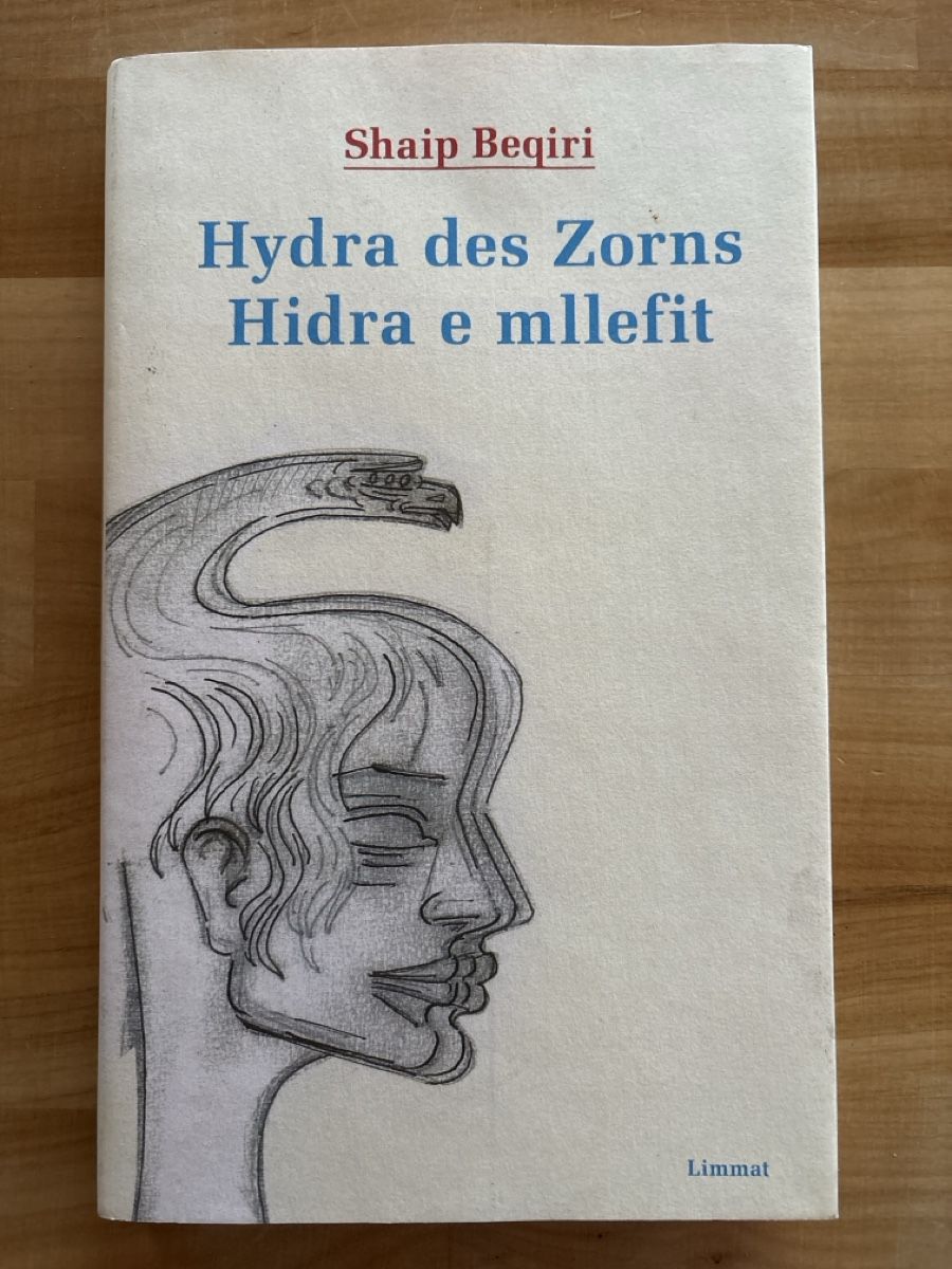 Libri: Buch mit Albanisch und Deutsch / Gedichte – Usato da Rümlang venduto da euqinom16