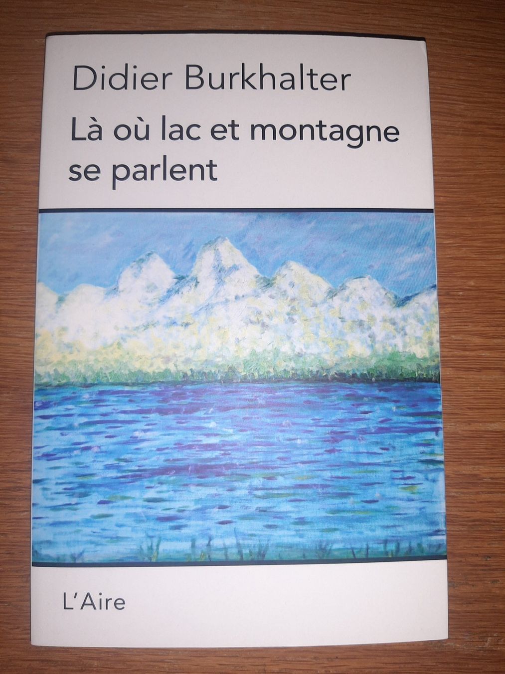 Libri: 4 Livres Didier Burkhalter – Usato da Neuchâtel venduto da Budy.jul-5