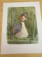3 signierte Lithografien Willy Bär – Vögel, limitiert